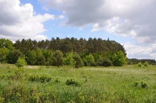 DziaŁka Z Warunkami Zabudowy - 11000314