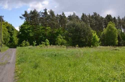 DZIAŁKA Z WARUNKAMI ZABUDOWY - 11000314