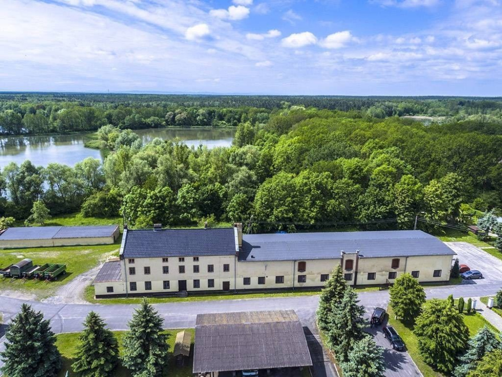 Gospodarstwo Rybackie na Dolnym ŚLĄsku - 11300314