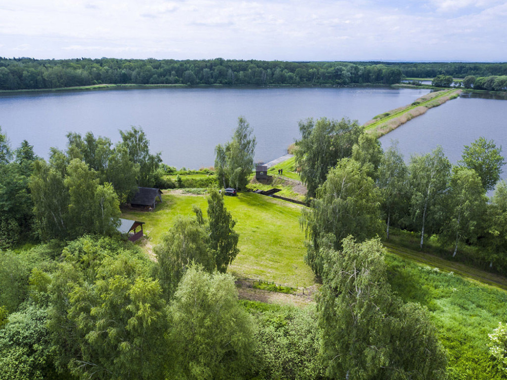 Gospodarstwo Rybackie na Dolnym ŚLĄsku - 11300314