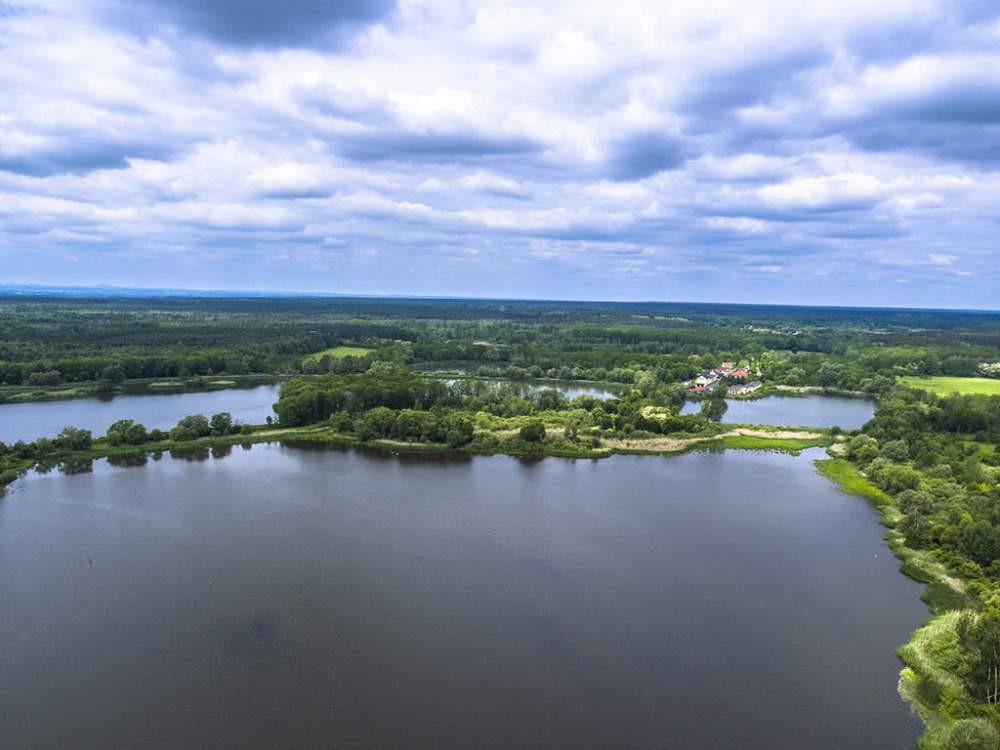 Gospodarstwo Rybackie na Dolnym ŚLĄsku - 11300314
