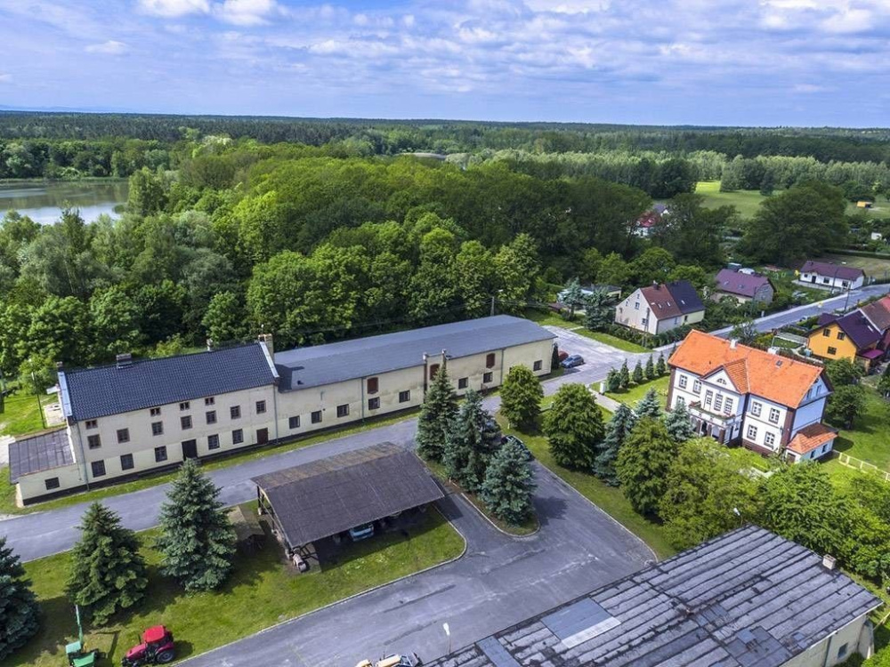 Gospodarstwo Rybackie na Dolnym ŚLĄsku - 11300314