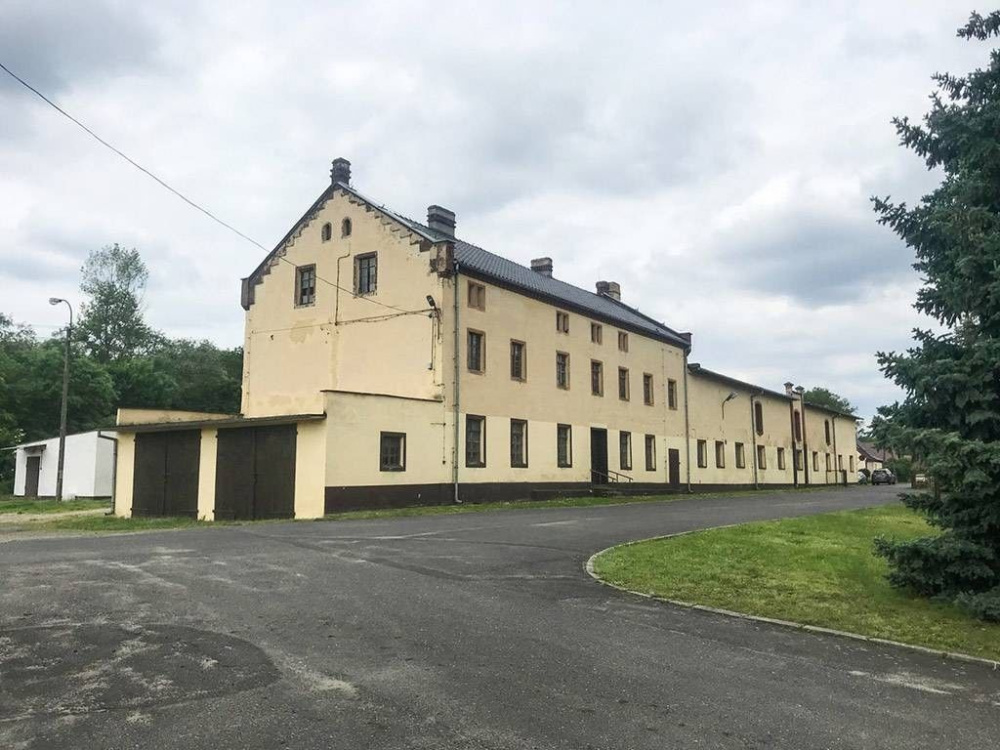 Gospodarstwo Rybackie na Dolnym ŚLĄsku - 11300314