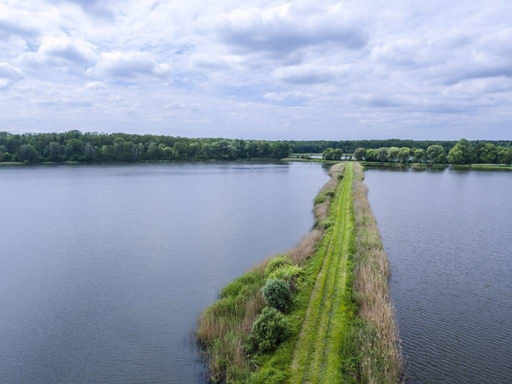 Gospodarstwo Rybackie na Dolnym ŚLĄsku - 11300314