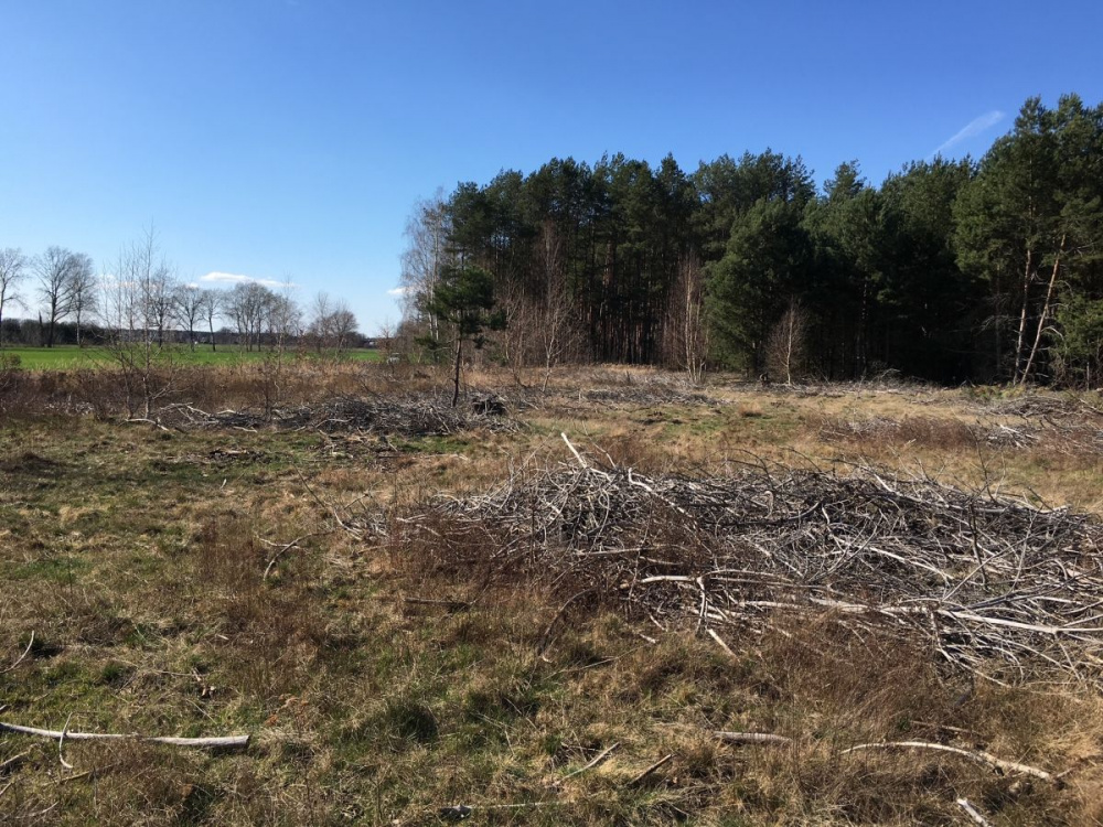 DZIAŁKA ROLNA - 12770314