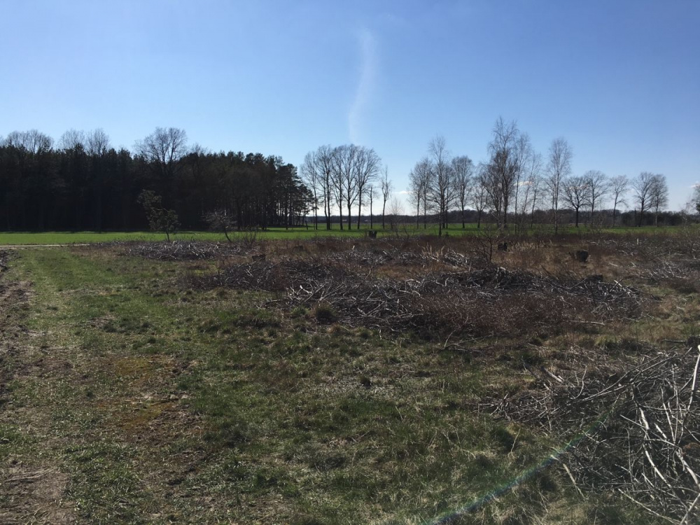 DZIAŁKA ROLNA - 12770314