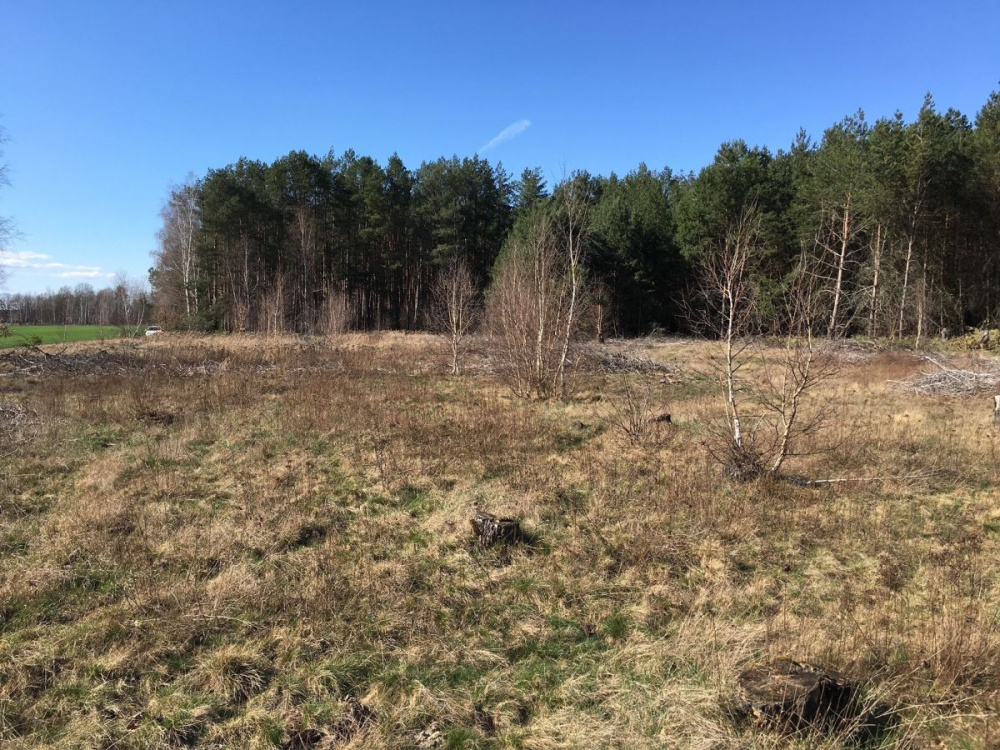 DziaŁka Rolna K/ KoŻuchowa - 12770314