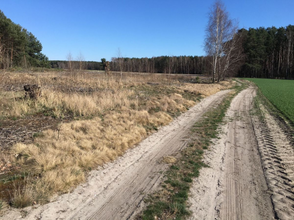 DziaŁka Rolna K/ KoŻuchowa - 12770314