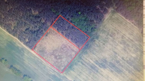 DziaŁka Rolna K/ KoŻuchowa