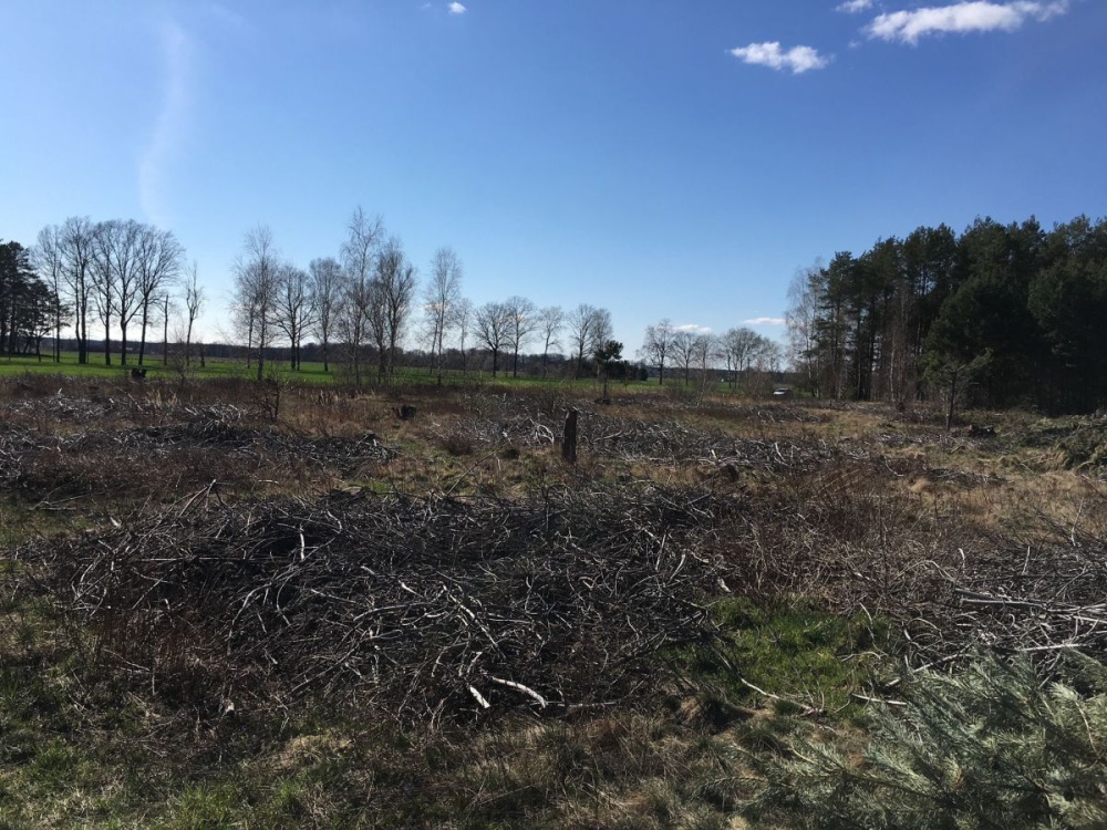 DziaŁka Rolna K/ KoŻuchowa - 12770314