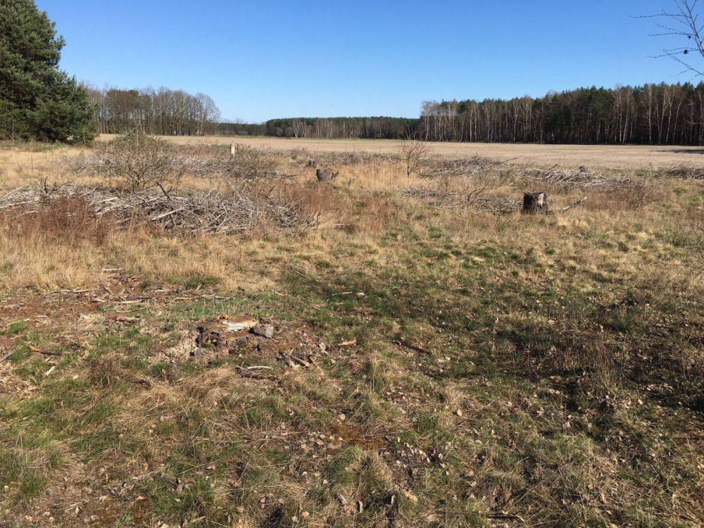 DziaŁka Rolna K/ KoŻuchowa - 12770314