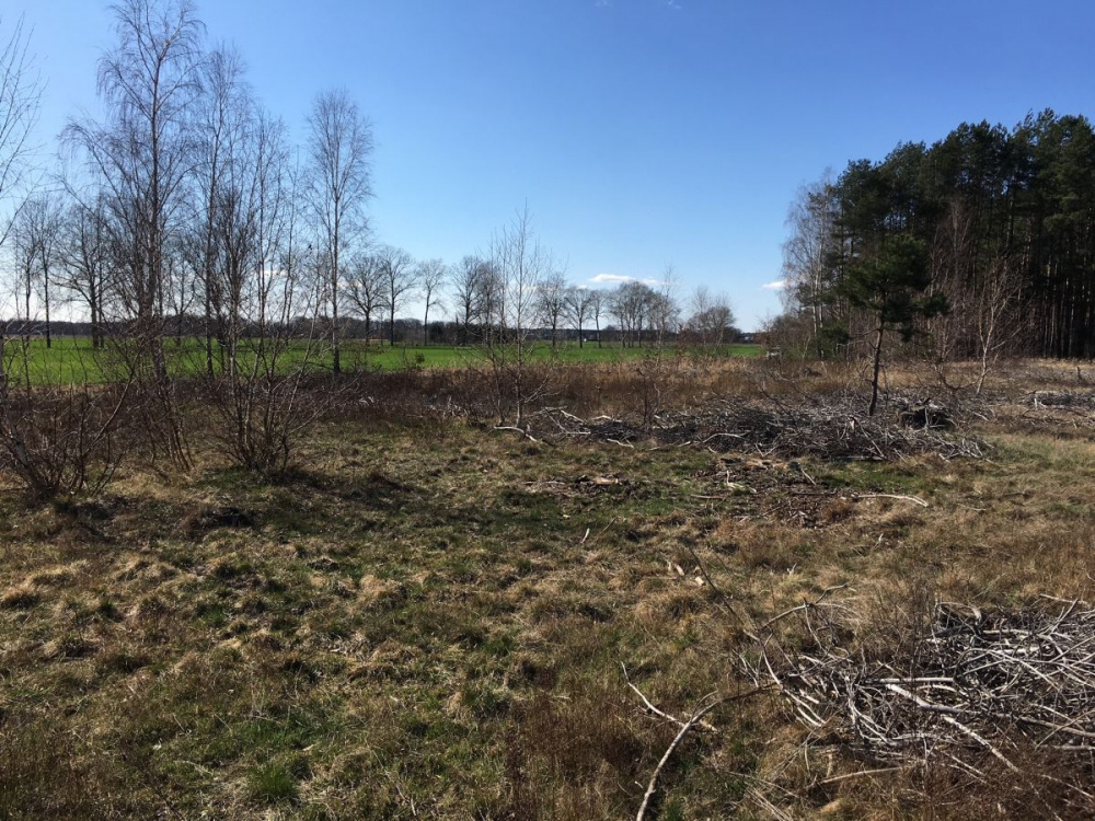 DZIAŁKA ROLNA - 12770314