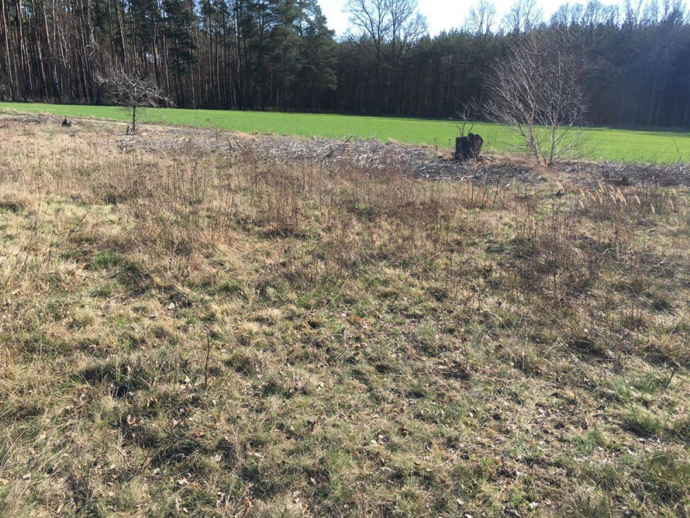 DZIAŁKA ROLNA - 12770314