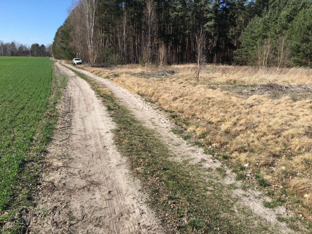 DZIAŁKA ROLNA - 12770314