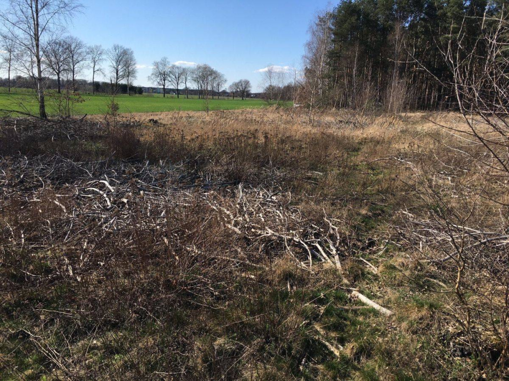 DziaŁka Rolna K/ KoŻuchowa - 12770314