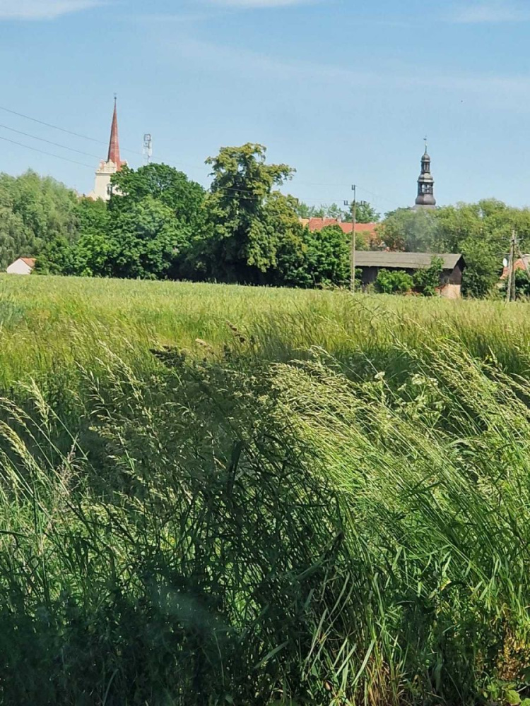 DziaŁka Budowlana - 13890314