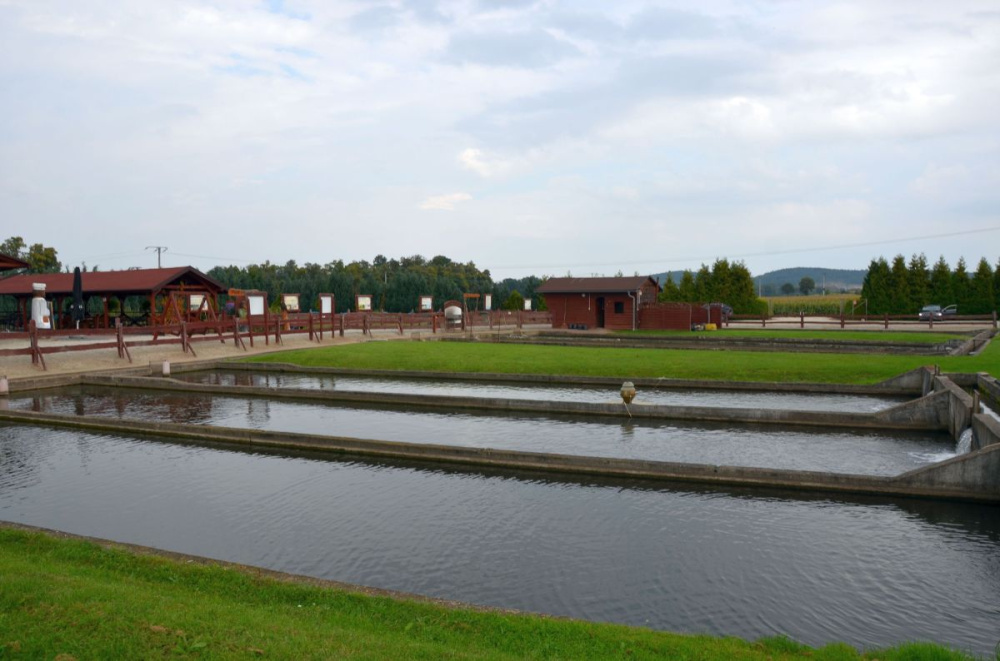 Obiekt Gastronomiczny - Łowisko I SmaŻalnia Ryb - 14050314