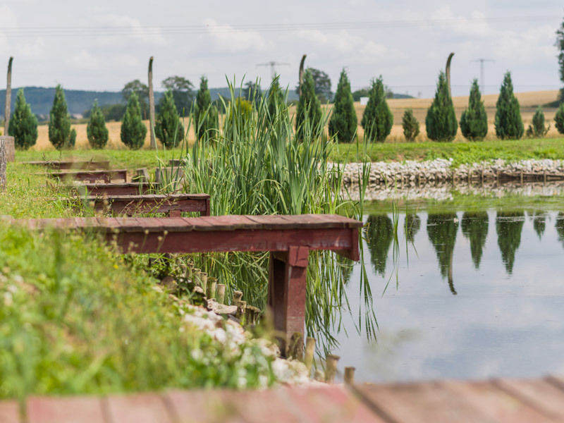 Obiekt Gastronomiczny - Łowisko I SmaŻalnia Ryb - 14050314