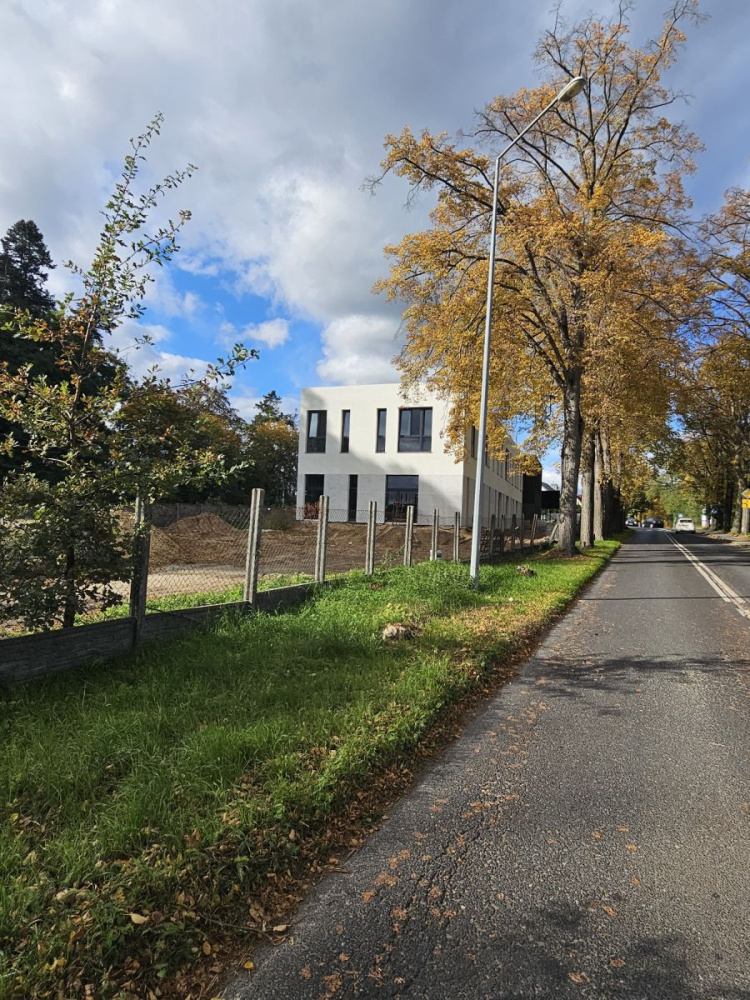 Powierzchnie Biurowo- UsŁugowe - 14320314