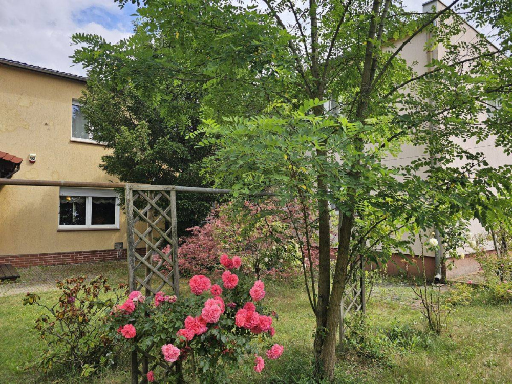 DWA DOMY WIELORODZINNE W ZIELONEJ GÓRZE - 14490314