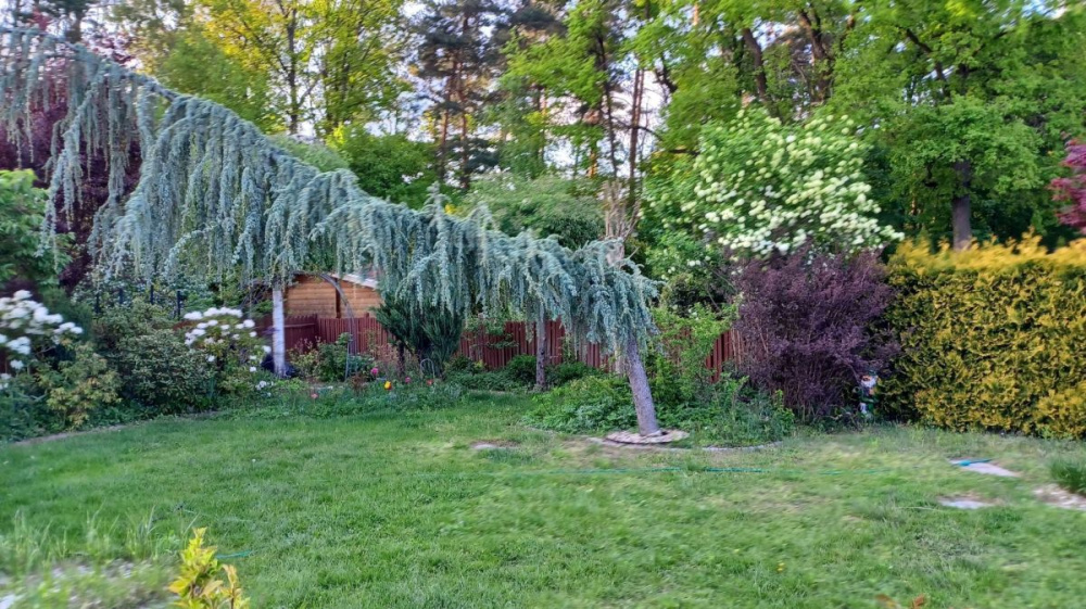 Dom - BliŹniak W Zielonej GÓrze - 14680314