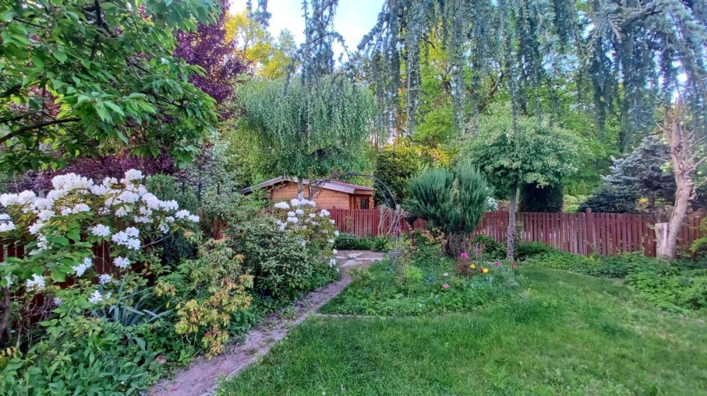 Rezerwacja - BliŹniak W Zielonej GÓrze - 14680314