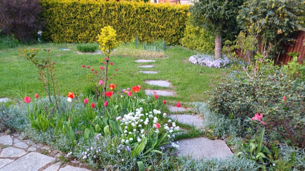 Rezerwacja - BliŹniak W Zielonej GÓrze - 14680314