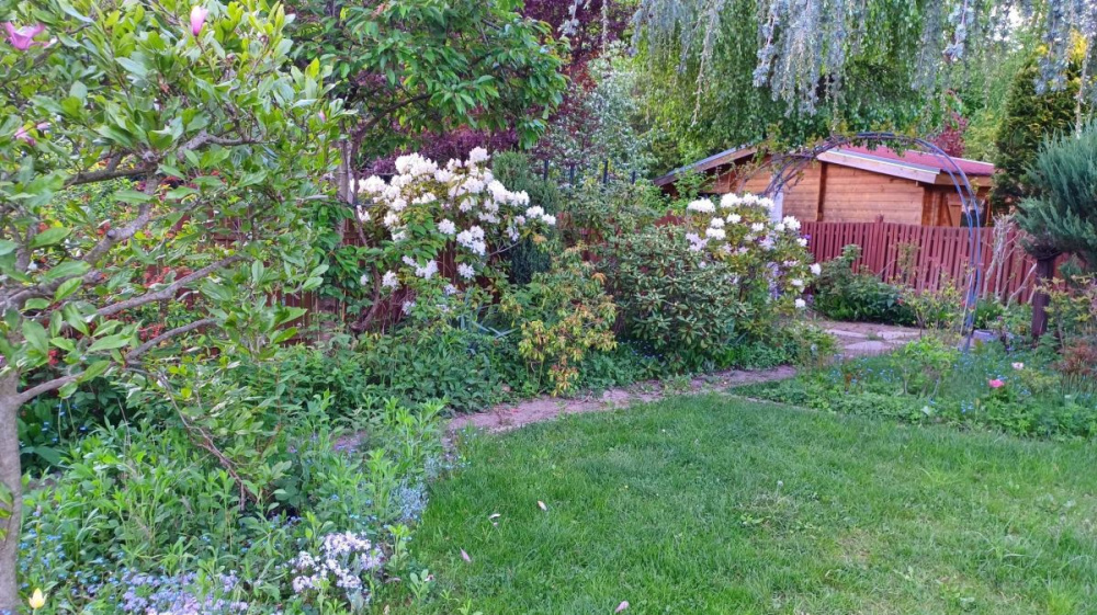 Rezerwacja - BliŹniak W Zielonej GÓrze - 14680314