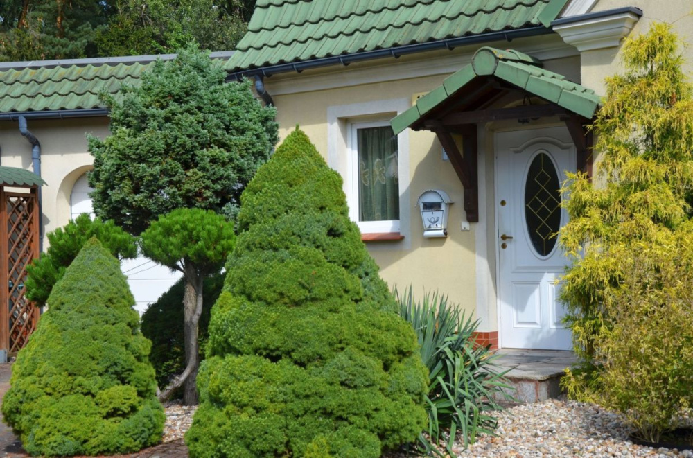 Rezerwacja - BliŹniak W Zielonej GÓrze - 14680314