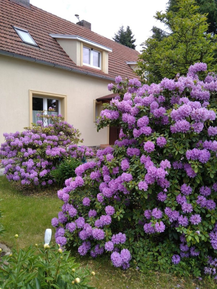 Klimatyczny Dom Z DuŻĄ DziaŁkĄ - 15040314