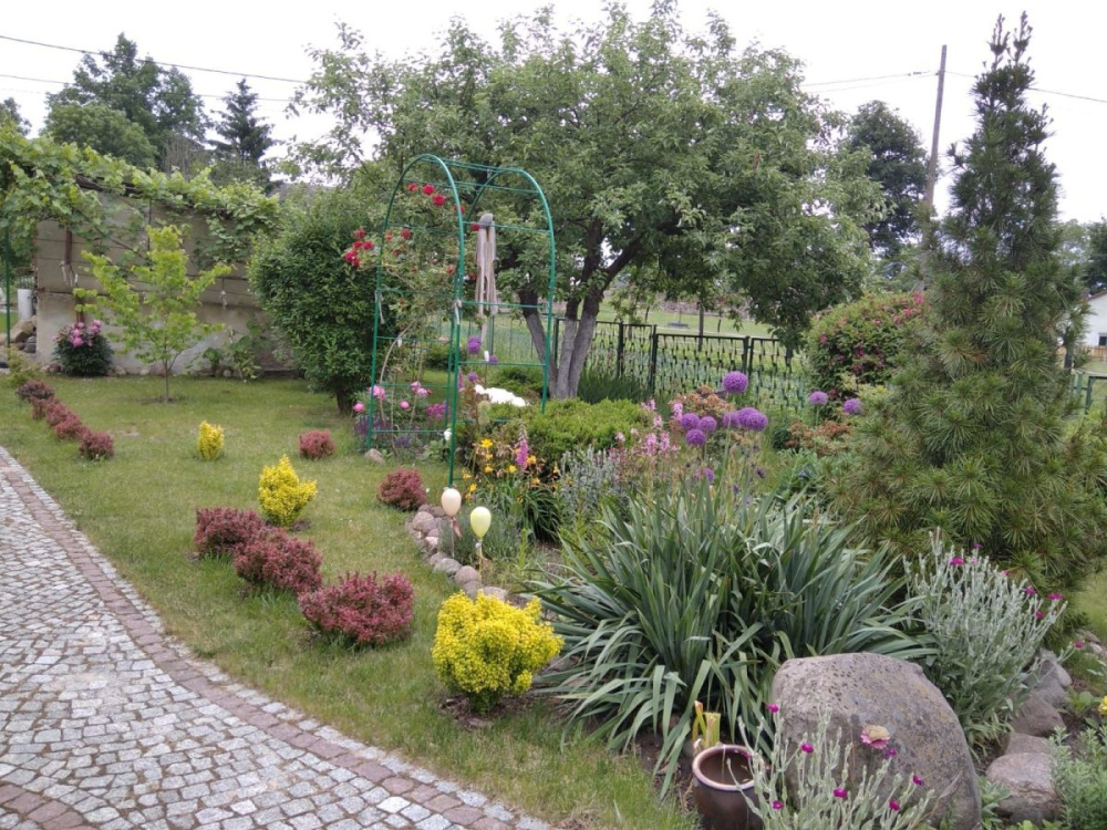 Klimatyczny Dom Z DuŻĄ DziaŁkĄ - 15040314