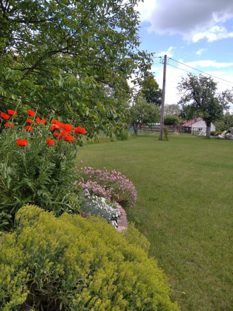 Klimatyczny Dom Z DuŻĄ DziaŁkĄ - 15040314