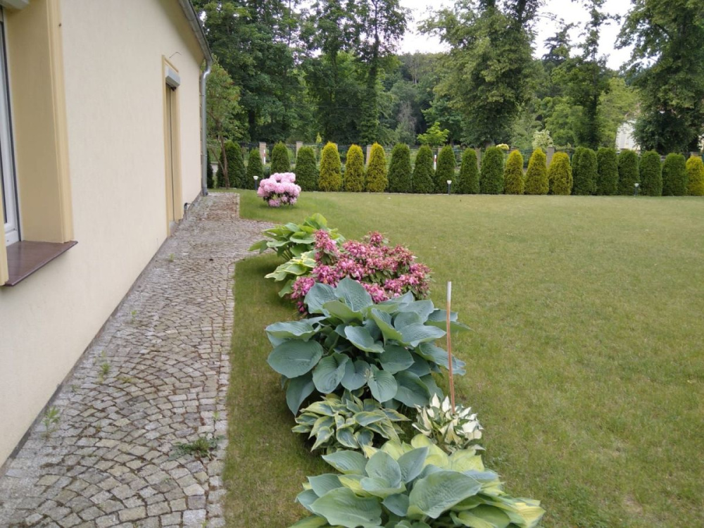 Klimatyczny Dom Z DuŻĄ DziaŁkĄ - 15040314