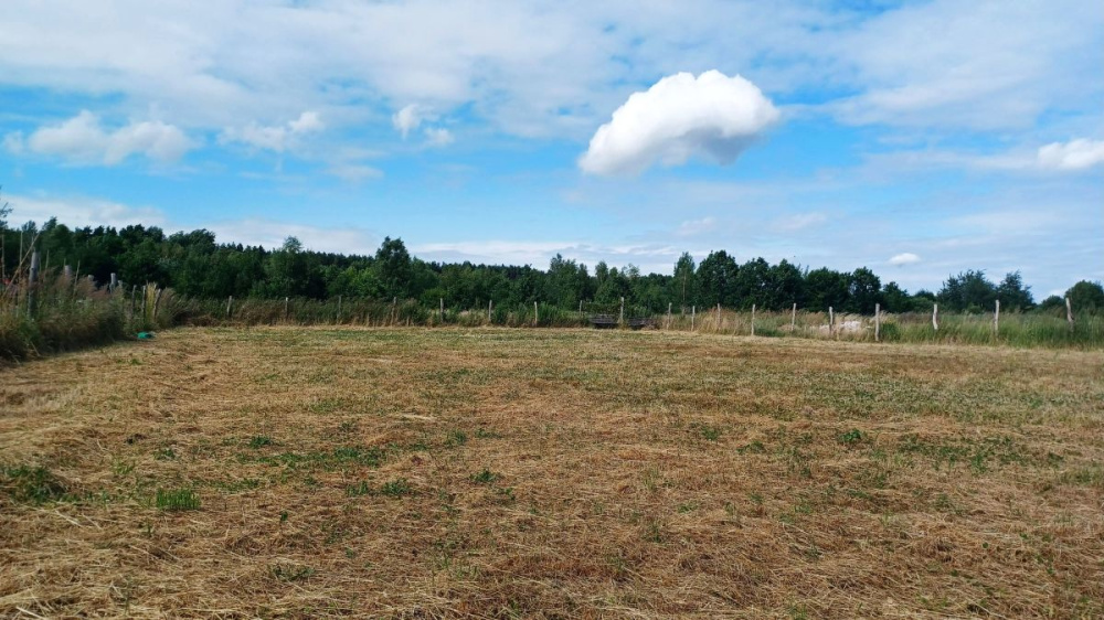 DziaŁka W Ochli Z Pozwoleniem Na BudowĘ - 15280314