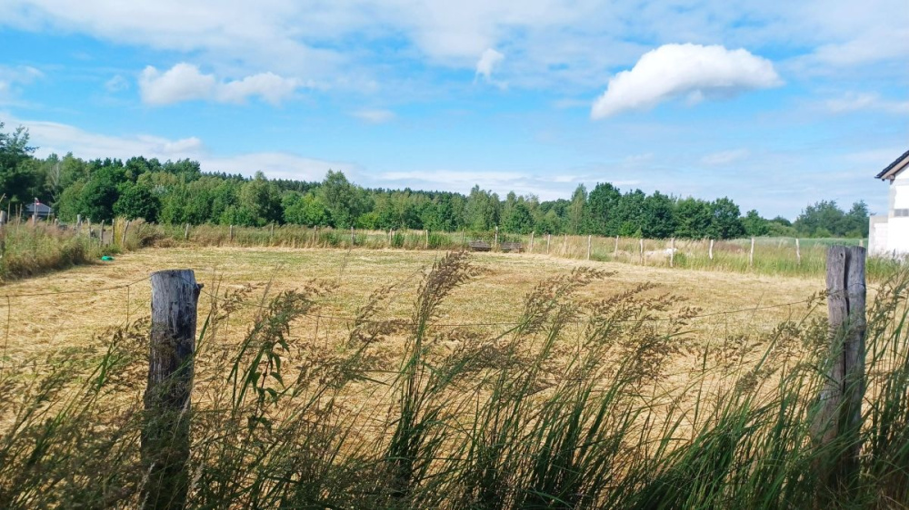 DziaŁka W Ochli Z Pozwoleniem Na BudowĘ - 15280314