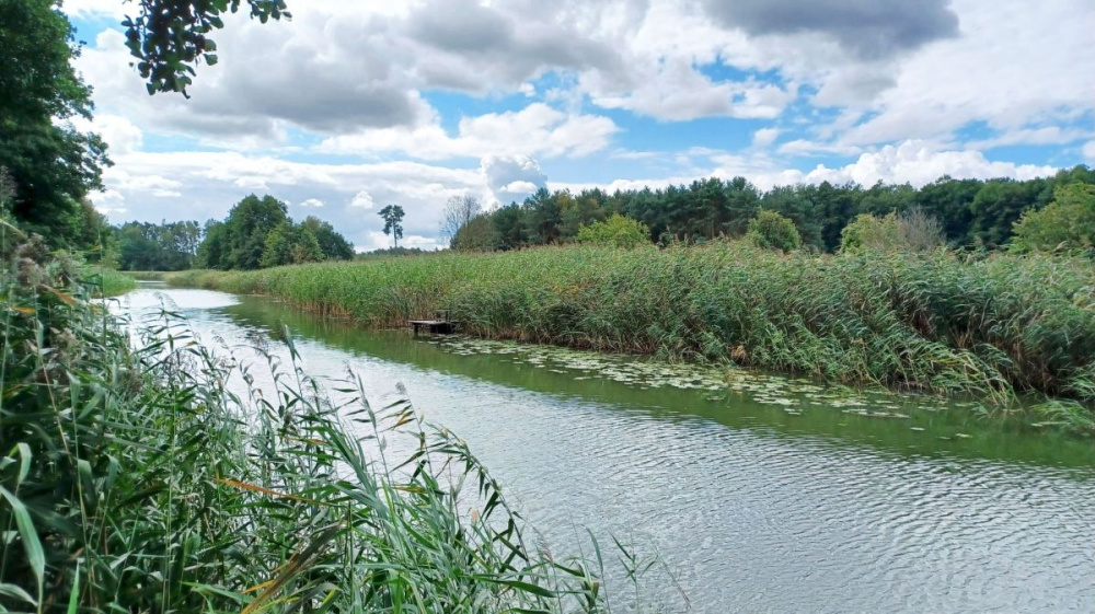 PosiadŁoŚĆ Nad RzekĄ ObrĄ. - 15440314