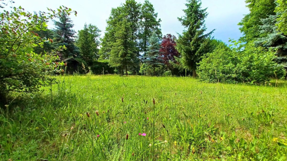 PosiadŁoŚĆ Nad RzekĄ ObrĄ. - 15440314
