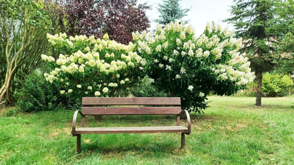 PosiadŁoŚĆ Nad RzekĄ ObrĄ. - 15440314