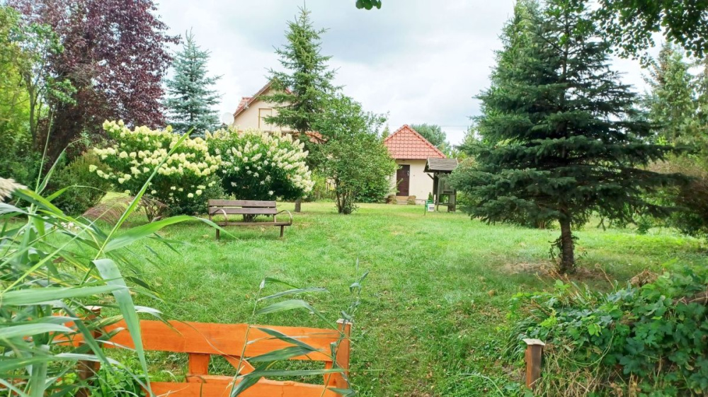 PosiadŁoŚĆ Nad RzekĄ ObrĄ. - 15440314