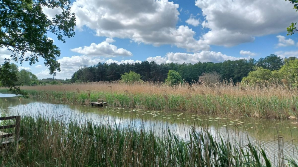 PosiadŁoŚĆ Nad RzekĄ ObrĄ. - 15440314