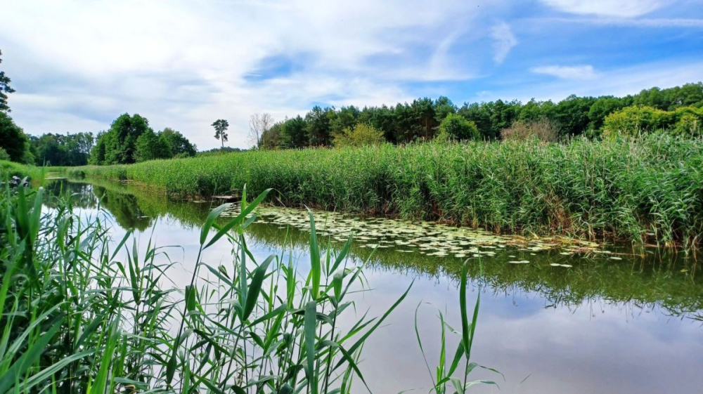 PosiadŁoŚĆ Nad RzekĄ ObrĄ. - 15440314