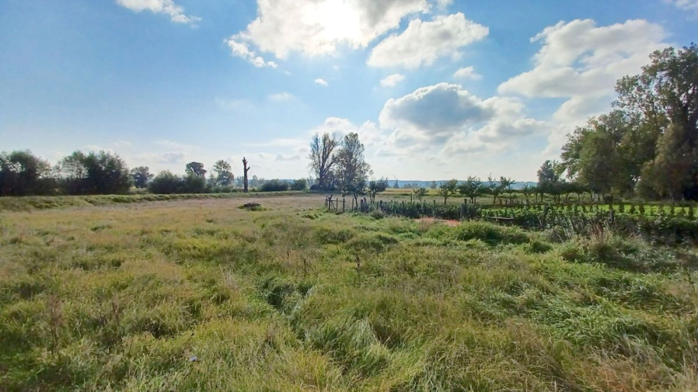 Gospodarstwo Rolne - Okolice Krosna OdrzaŃskiego - 15570314