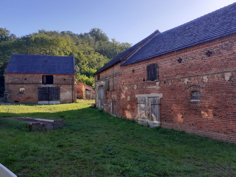 Gospodarstwo Rolne - Okolice Krosna OdrzaŃskiego - 15570314