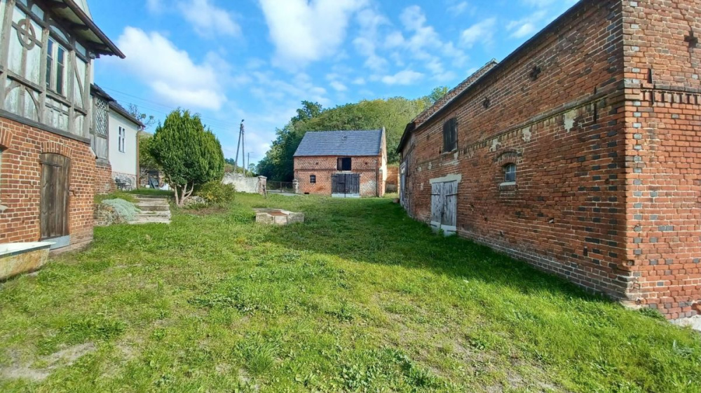 Gospodarstwo Rolne - Okolice Krosna OdrzaŃskiego - 15570314