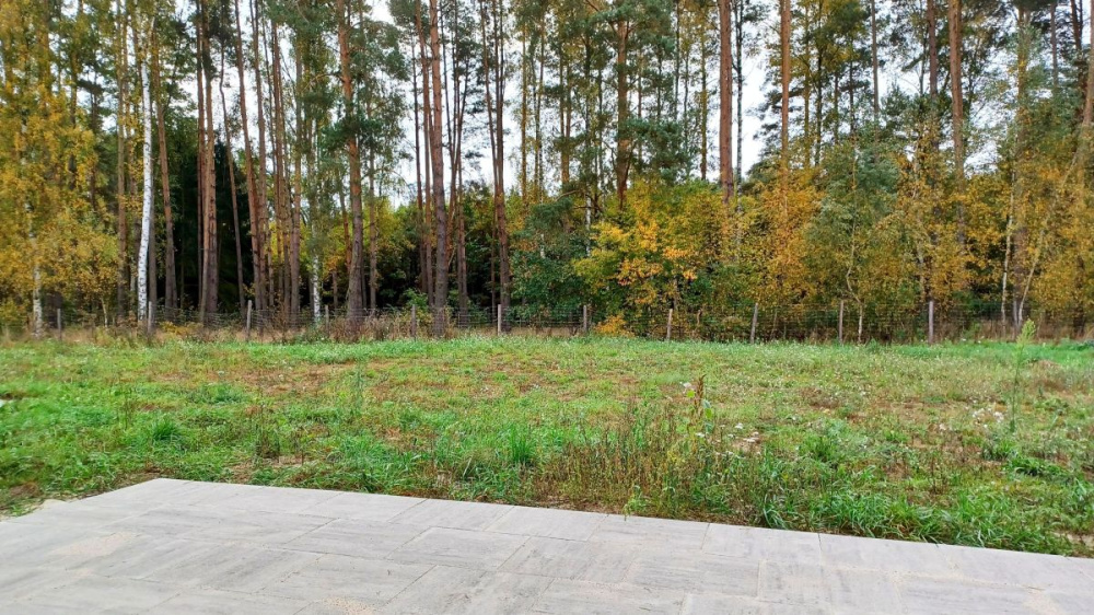 Elegancki Segment Przy Lesie - 15620314