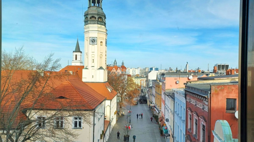 Komercyjna NieruchomoŚĆ W Sercu Zielonej GÓry - 15670314