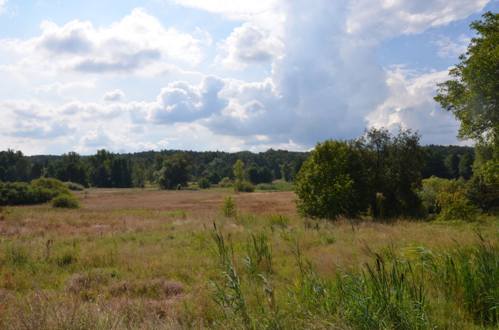 Segment W Zabudowie BliŹniaczej - 15690314