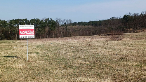 DziaŁki Budowlane w MiejscowoŚCi Przytok.