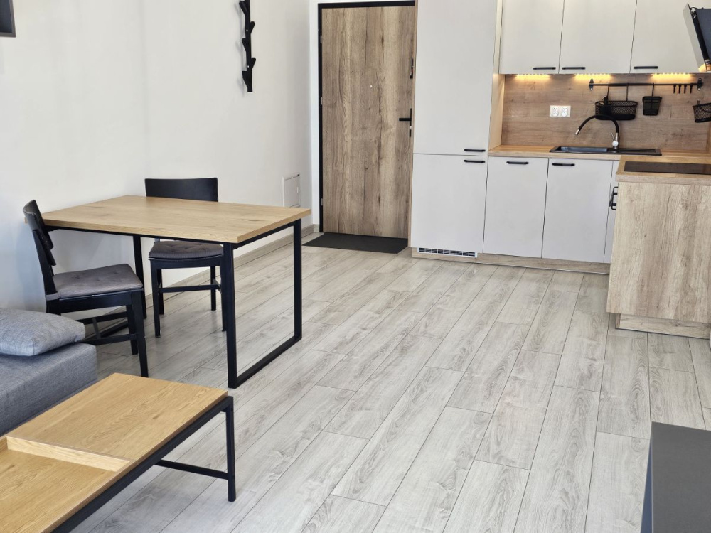 Komfortowy Aparament z miejscem postojowym - 15910314