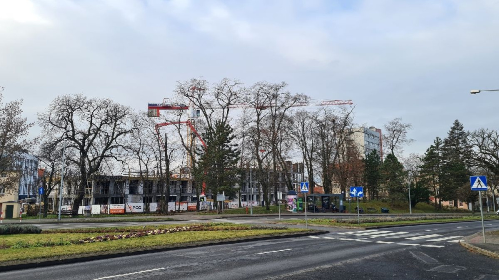 Apartament w ścisłym centrum Zielonej Góry - 15960314